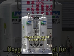 Jiangsu Luoming generador de oxígeno puro de alto nivel